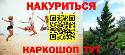 шишки Севастополь