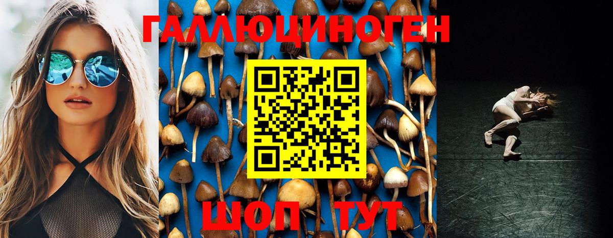 Псилоцибиновые грибы MAGIC MUSHROOMS  наркота  Нижнеудинск  Вход с VPN 
