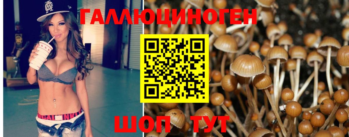 Псилоцибиновые грибы GOLDEN TEACHER Нижнеудинск