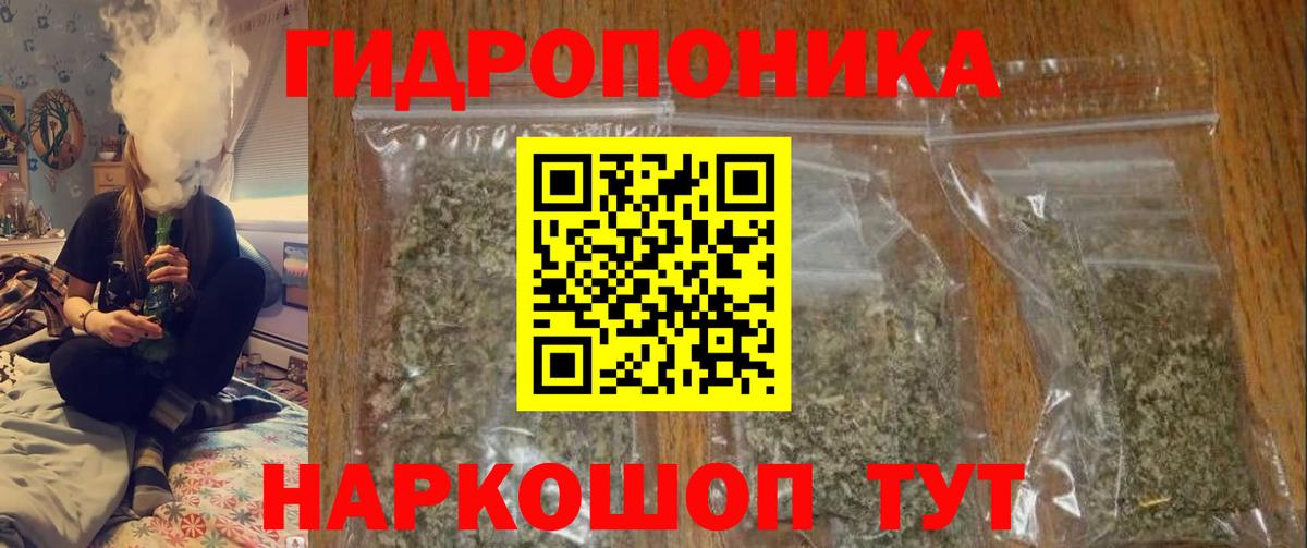 МАРИХУАНА сатива Нижнеудинск
